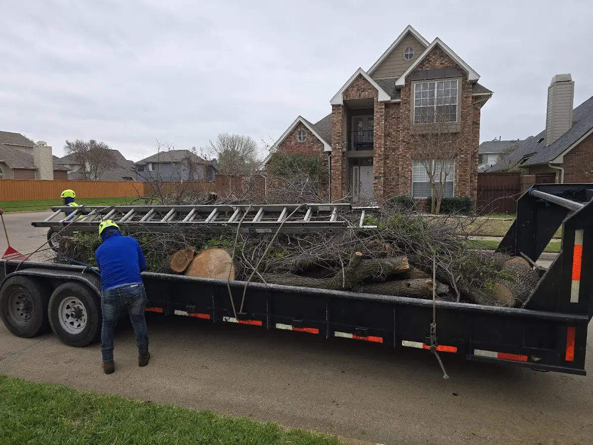 Expert Lot Clearing with proper safety equipment in Lakefield